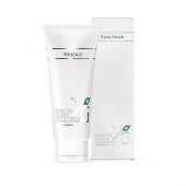 facemask
